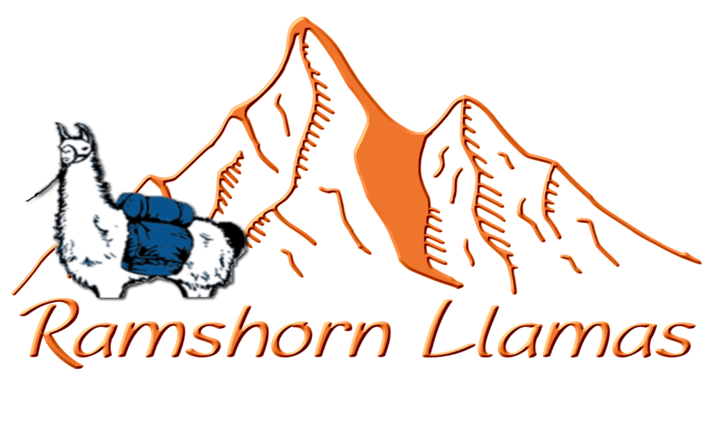 Ramshorn Llamas Logo